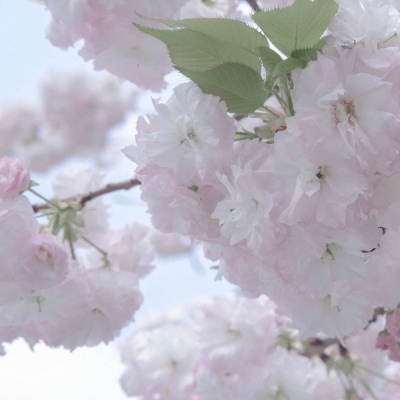 Furry色彩搭配技巧兽圈社群